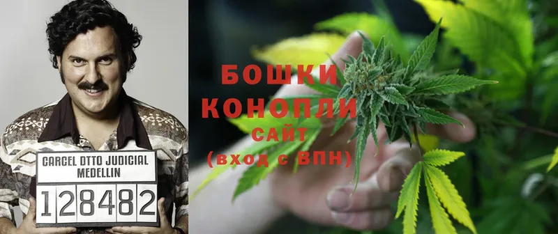 mega ссылки  купить наркотик  Красный Холм  Бошки марихуана White Widow 